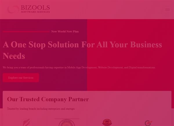 Bizools Software Services